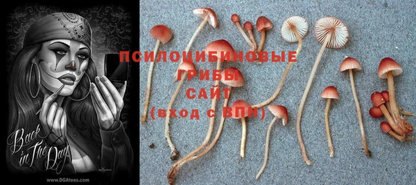 сатива Алексин