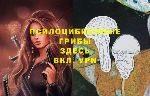 бошки Алзамай