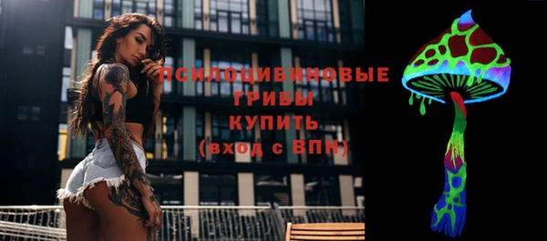 бошки Алзамай