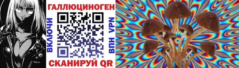 Псилоцибиновые грибы Magic Shrooms Тюкалинск